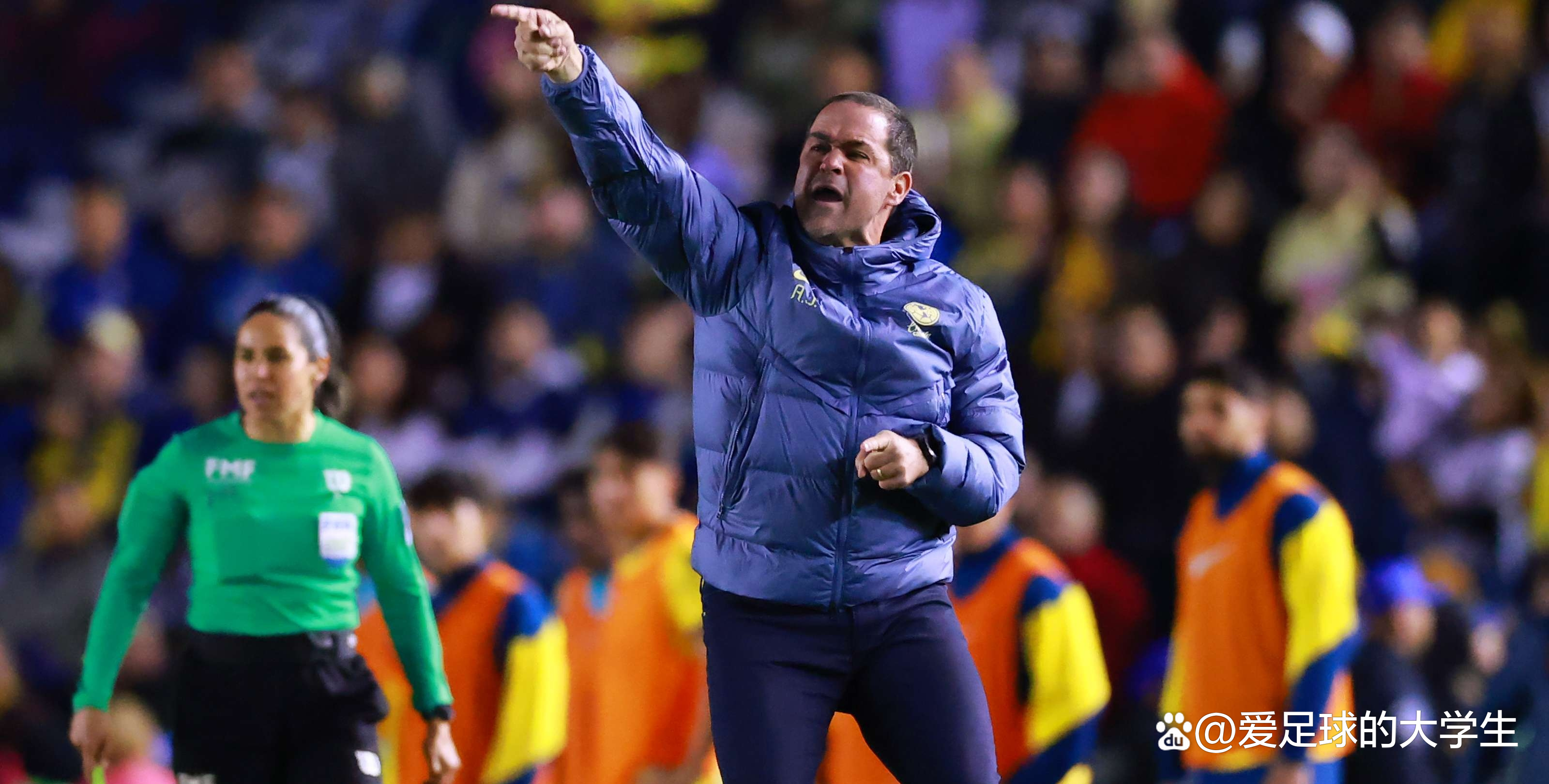 雷丁球员遭遇伤病潮,球队备战计划受影响 雷丁球员遭遇伤病潮,球队备战计划受影响