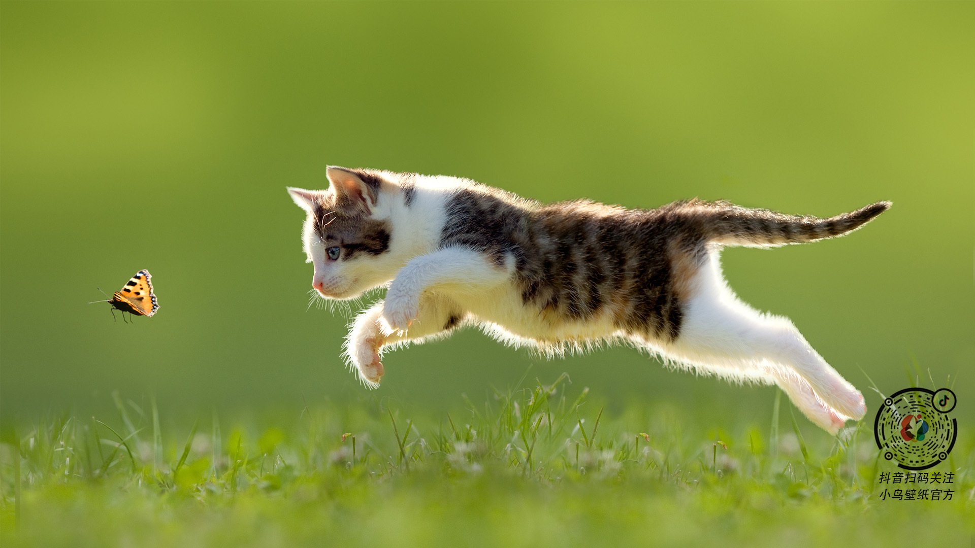 布克单骑定乾坤，雄鹿铁蹄踏碎山西反扑梦