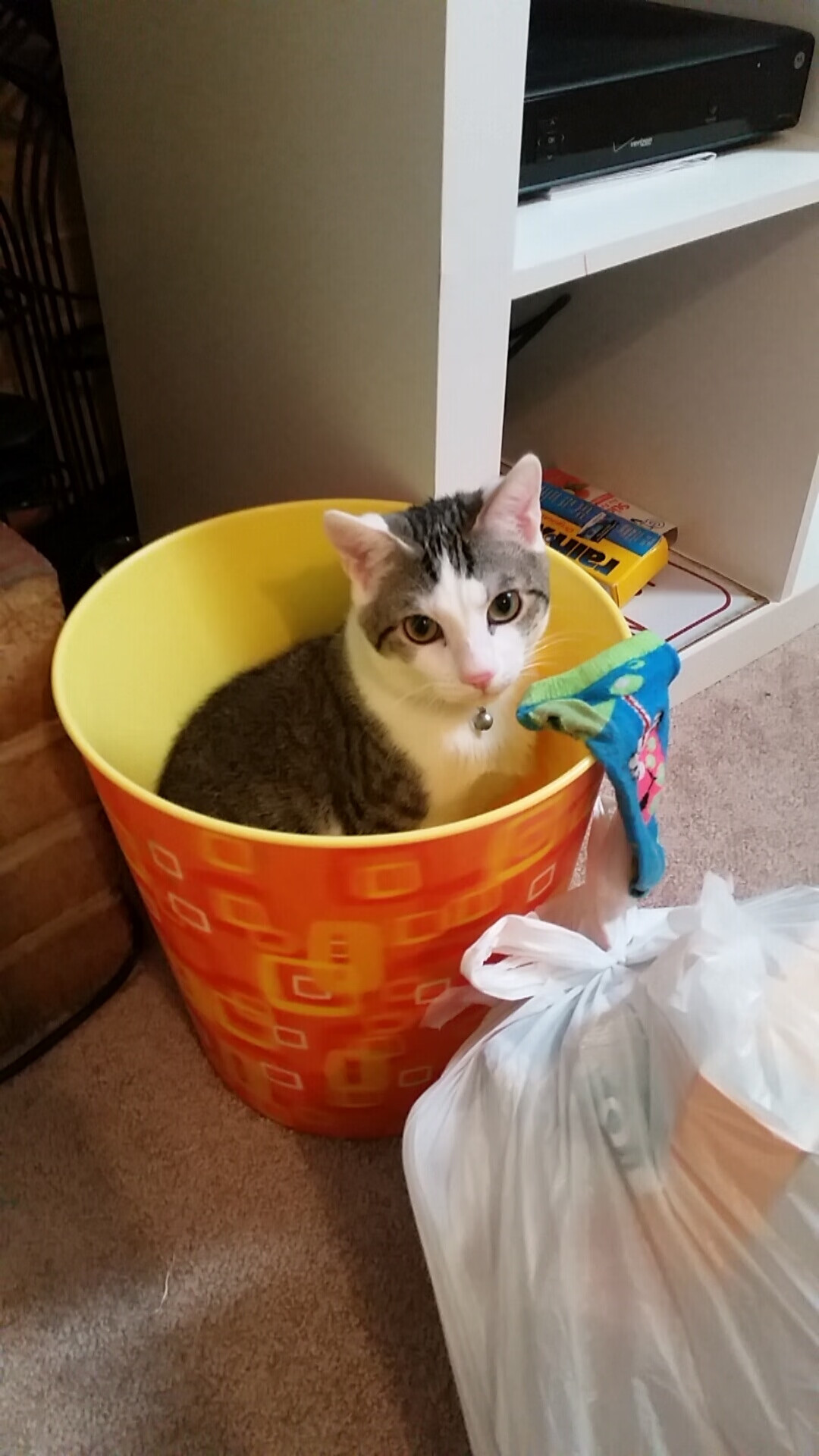 卡拉斯科，乌拉圭对阵芬兰一役的攻防转换核心