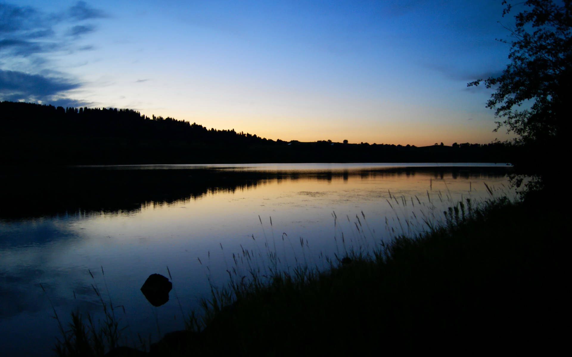 赛场双星，热火横扫灰熊，马克西欧冠淘汰赛主宰战局