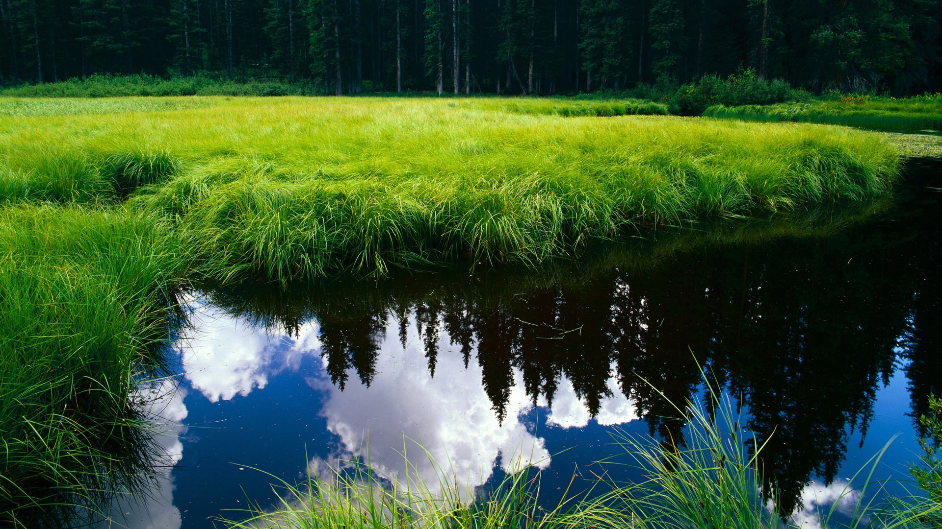 双面足球，孙兴慜的惊艳与亚特兰大的集体风暴