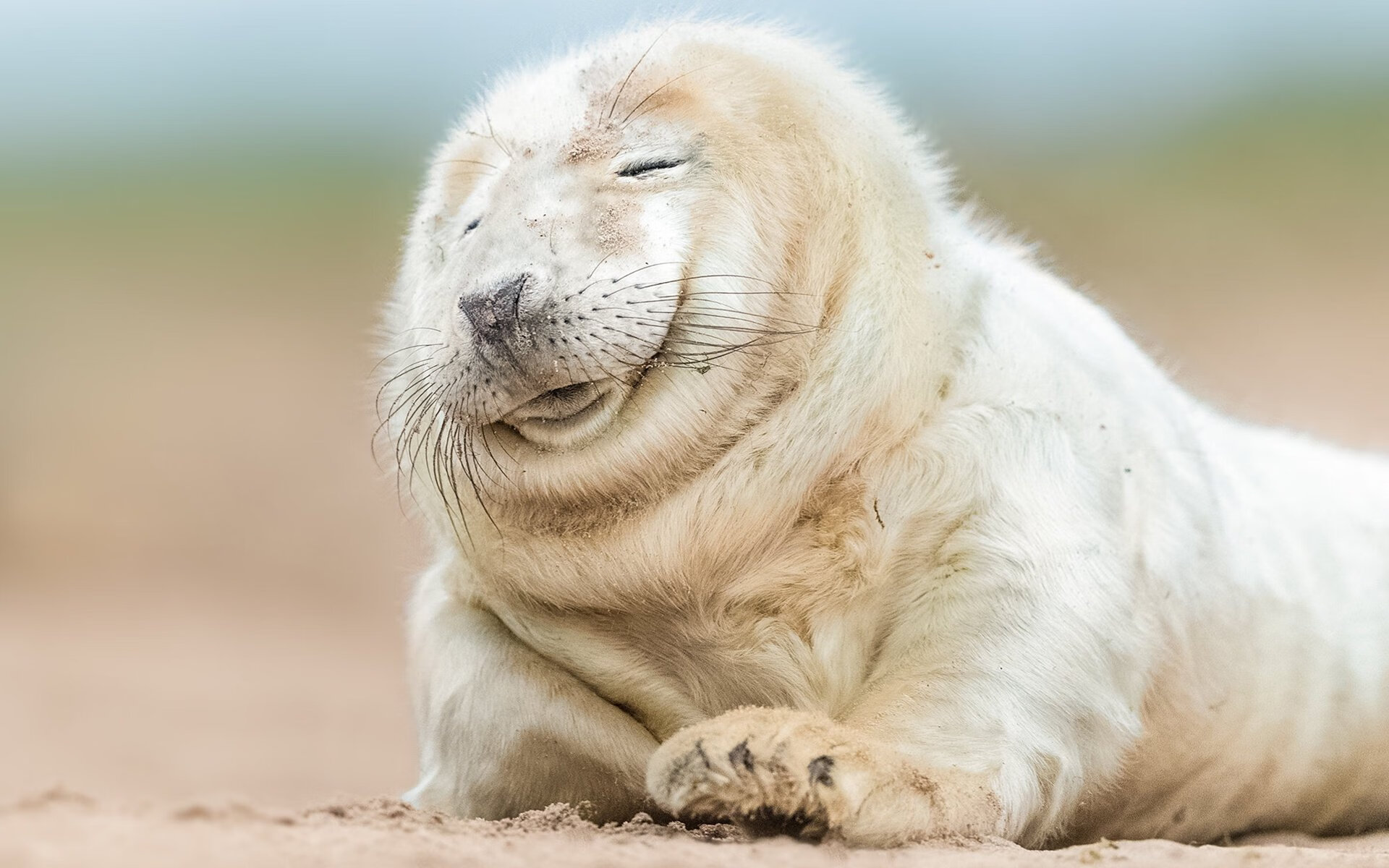 死神降临！杜兰特末节19分导演逆转 步行者送雄鹿连败